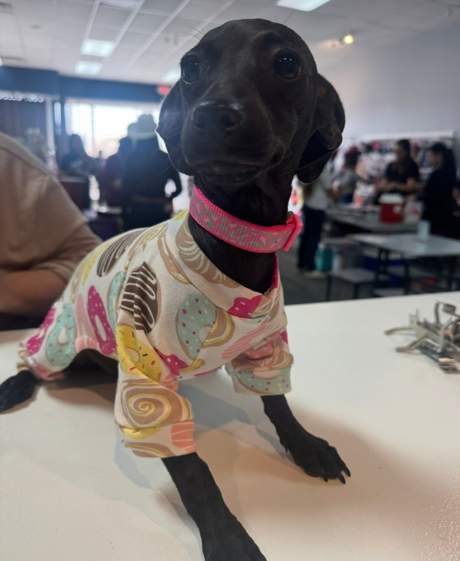 In-Store Paw Pack Membership Program
