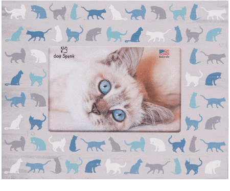 Cats All Over-Picture Frame