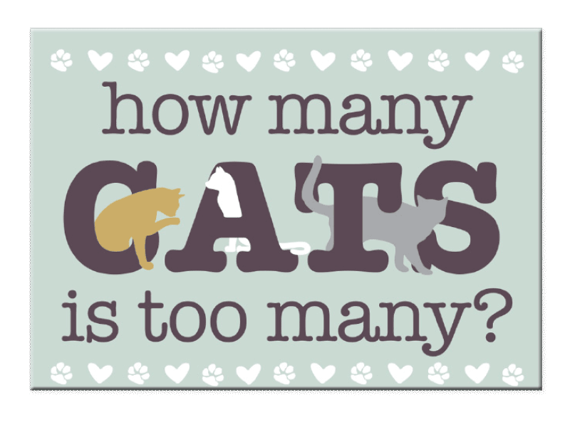 How Many Cats Is Too Many?- Rectangle Magnet