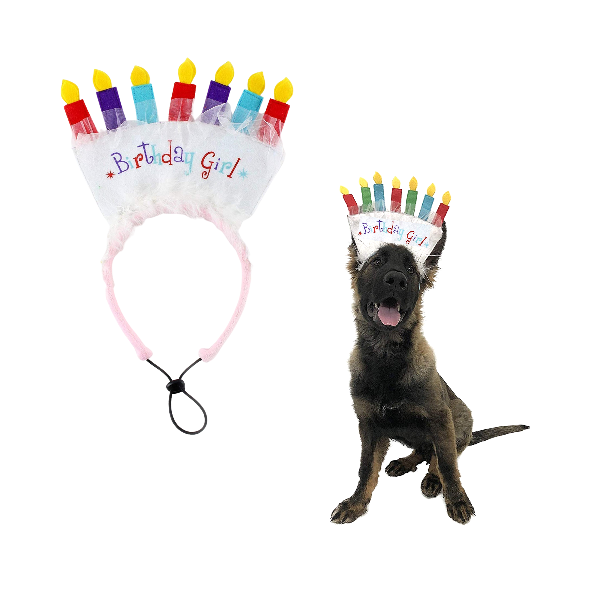 Birthday hat for 2024 dog to wear