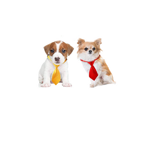 Small Black Pet Neck Tie