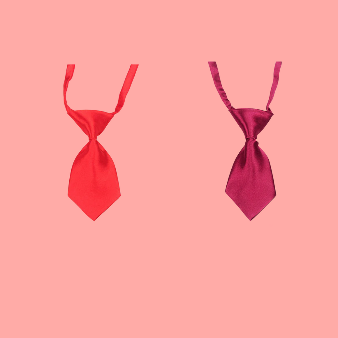 Small Red Pet Neck Ties