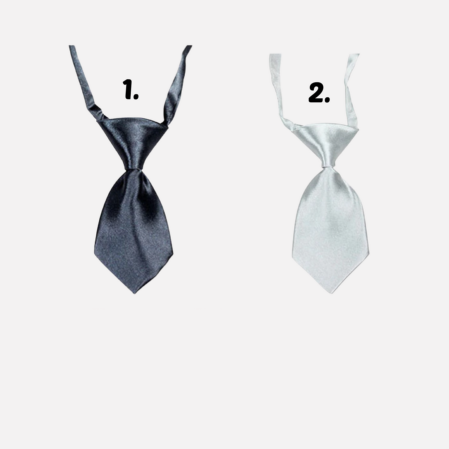 Small Silver Pet Neck Ties