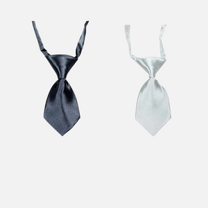 Small Silver Pet Neck Ties
