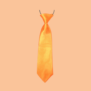 Large Orange Pet Neck Tie