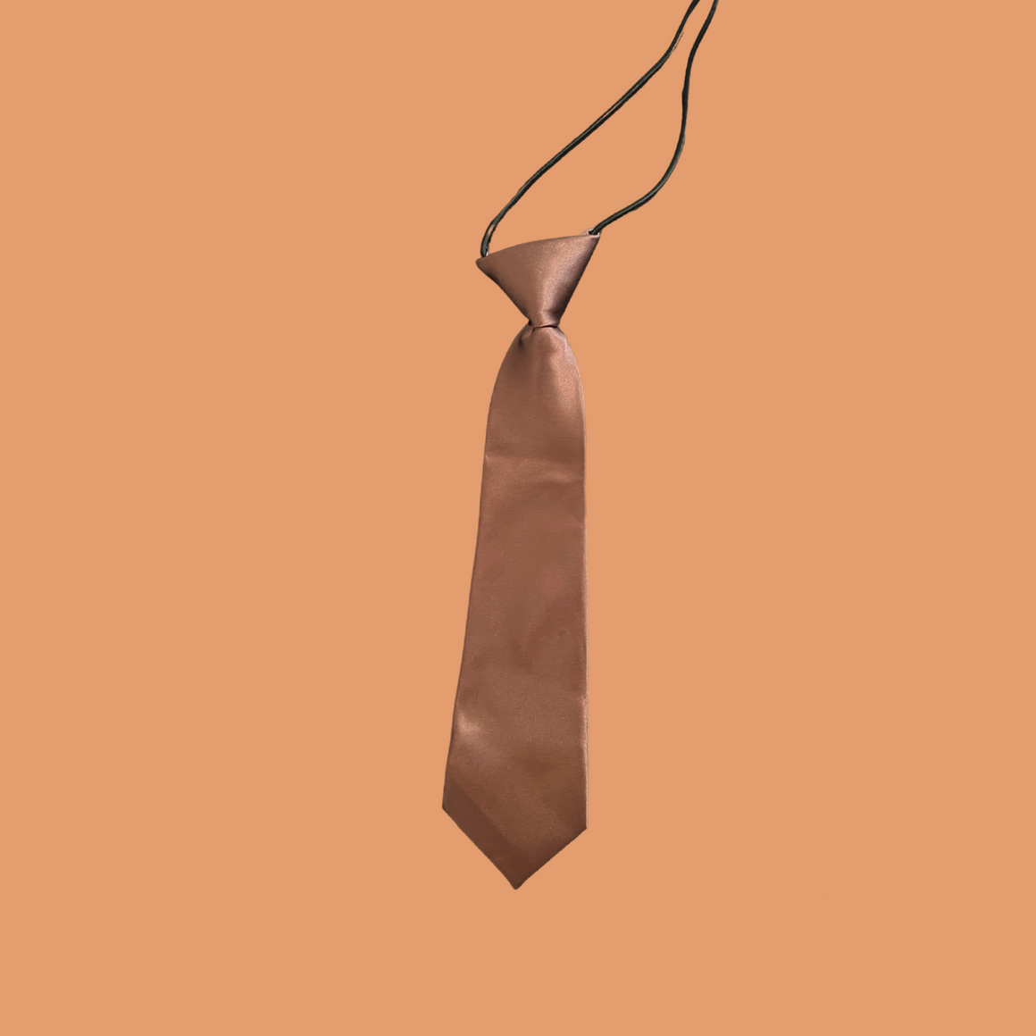 Large Brown Pet Neck Tie