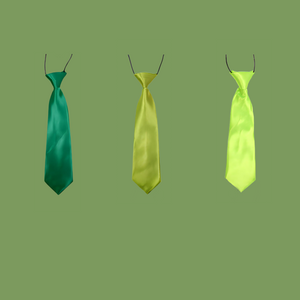 Copy of Large Green Pet Neck Ties