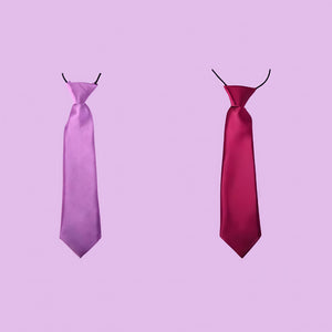 Large Purple Pet Neck Ties