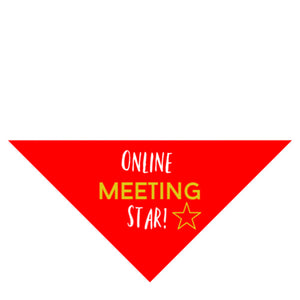 Online Meeting Star!-Web Exclusive!