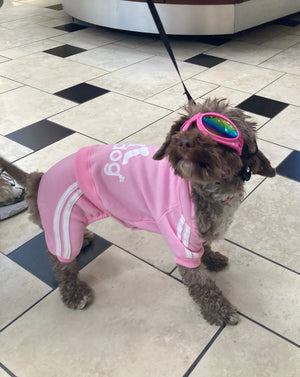 Adidog -Dog Tracksuits