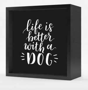 "Life is Better" Lightbox