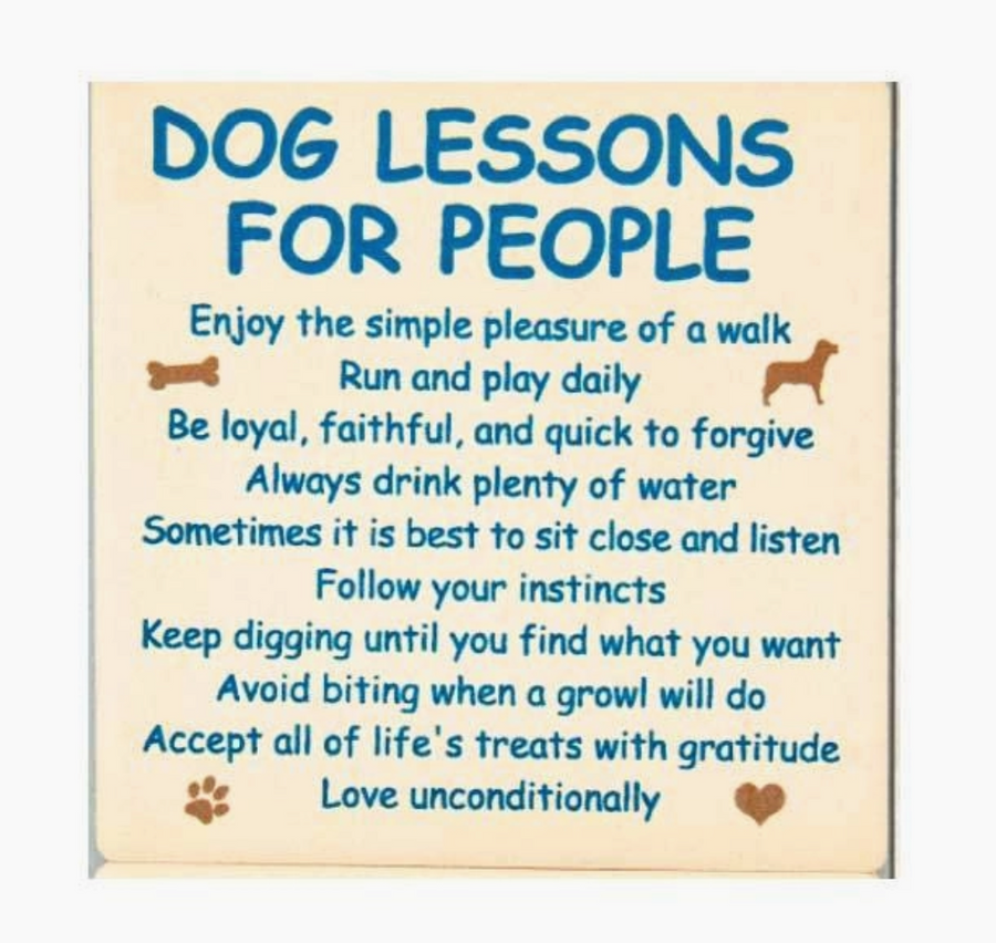 Dog Lessons For People- Coaster