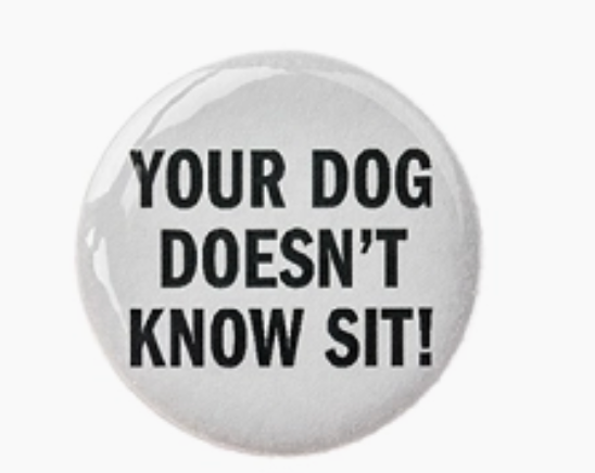 Your Dog Doesn't Know Sit!- Fridge Magnet