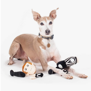 Pull Apart Referee Dog Toy