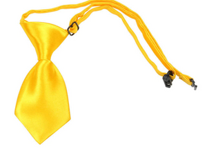 Small Yellow Pet Neck Tie