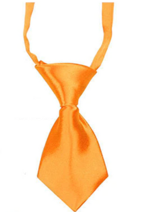Small Orange Pet Neck Tie