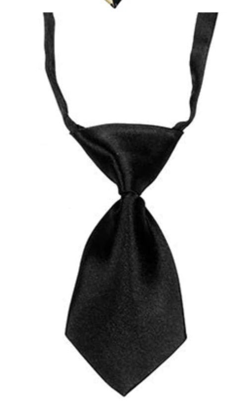 Small Black Pet Neck Tie
