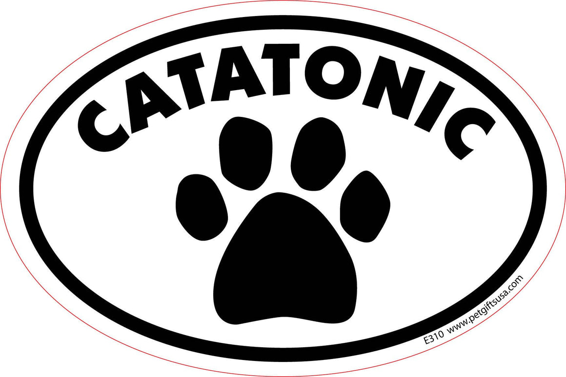Catatonic- Oval Shaped Car Magnet
